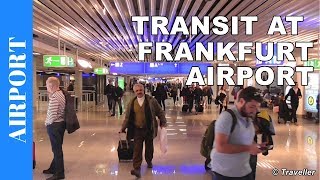 TRANSIT WALK AT FRANKFURT Airport FRA Terminal 1  Connection Flight Transfer Arriving amp Departing [upl. by Kubis]