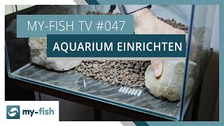 Ein neues Aquarium einrichten  myfish TV [upl. by Dyoll]