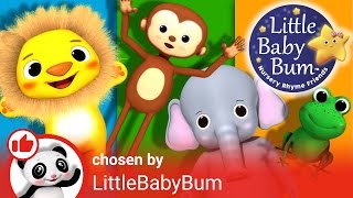 Animals Curated Playlist Intro  Nursery Rhymes  By Learn with Little Baby Bum [upl. by Marala]