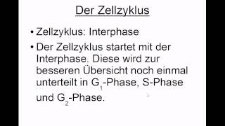 Zellzyklus aus Interphase und Mitose [upl. by Pease723]