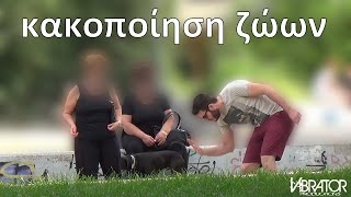 Κακοποίηση Ζώων social experiment [upl. by Eurd]