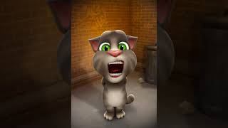 qwertyuiop asdfghjkl zxcvbnm talking angela [upl. by Glyn]