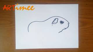 How to Draw a Guinea Pig [upl. by Cheke967]