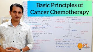 Anticancer Drugs Pharmacology Part 1 Basic Principles and Site of Action for Cancer Chemotherapy [upl. by Haiasi705]