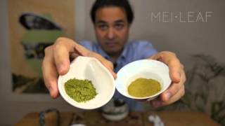 Everything you need to know about Matcha [upl. by Myrah]